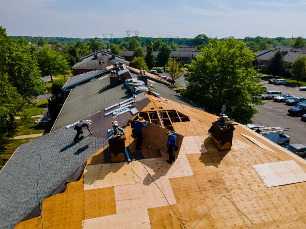Best Metal Roofing Contractor  in Great Falls Crossing, VA